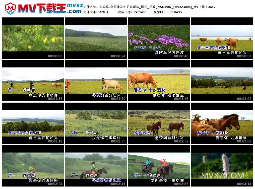 琪琪格-草原我是你的琪琪格_国语_民歌_NAI04697